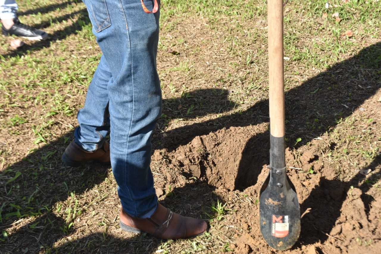 Camacã: Secretaria de Agricultura e Meio Ambiente em parceria com o Lions Clube e Maçonaria, realizam plantio de árvores e homenageia o empresário Eds